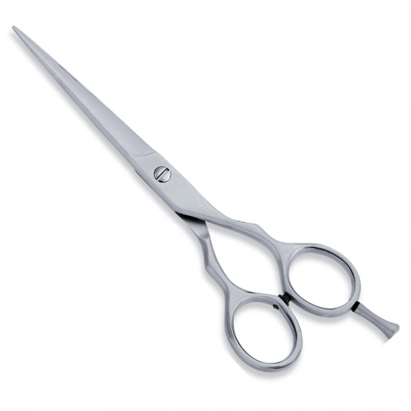 ECONOMY HAIR SCISSORS